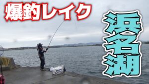 【紀州釣り】爆釣！今シーズン初の激流場で浜名湖黒鯛紀州釣り！【黒鯛釣り】【釣武者】