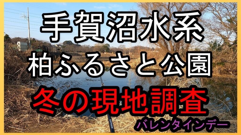 【手賀沼バス釣り】手賀沼水系大堀川　柏ふるさと公園　減水期の地形調査　まだバスは入ってきてません。
