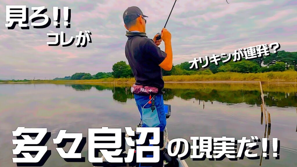 オリキンの様には行かないぜ、多々良沼はよぉ!!!!