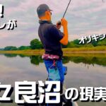 オリキンの様には行かないぜ、多々良沼はよぉ!!!!