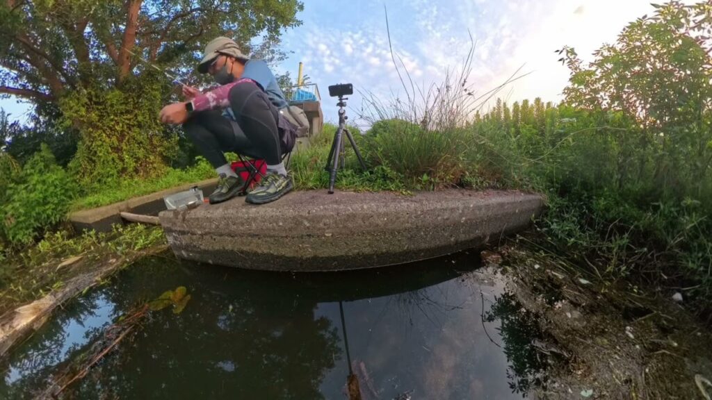 手賀沼で小物釣り「釣り散歩」