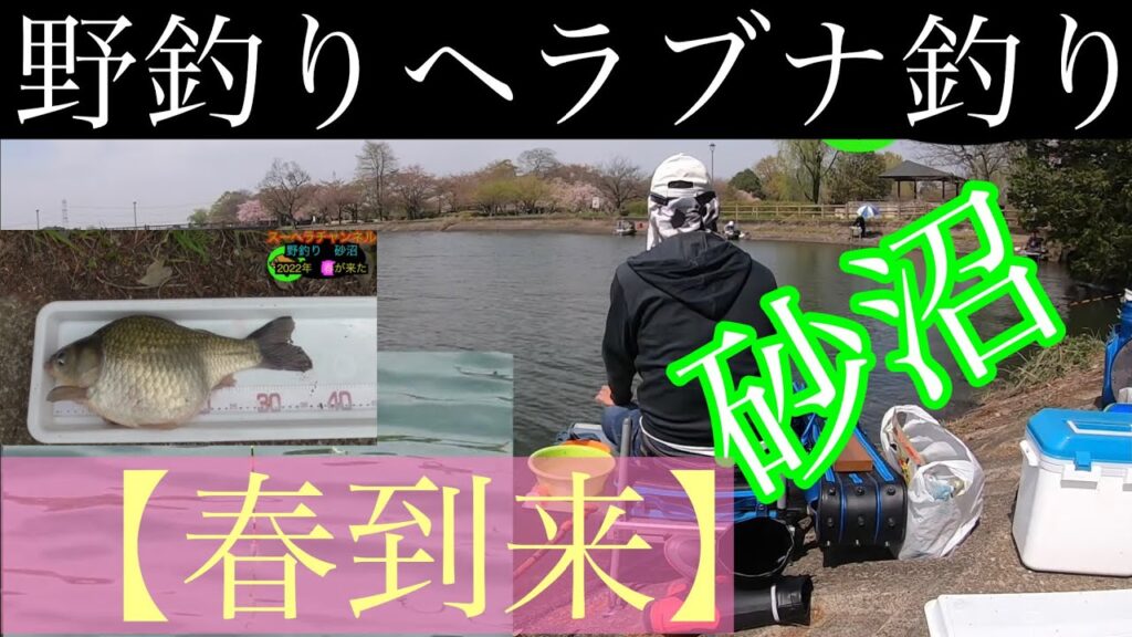 【春地到来】◆野釣り！砂沼へ◆◎ヘラブナ釣り