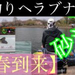 【春地到来】◆野釣り！砂沼へ◆◎ヘラブナ釣り