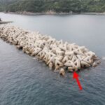 過去誰も渡ったことがない大物の巣「テトラ島」で釣りしたら…どれだけ釣れるのか？