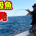 短時間で高級魚が釣れまくる釣りが楽しすぎた！