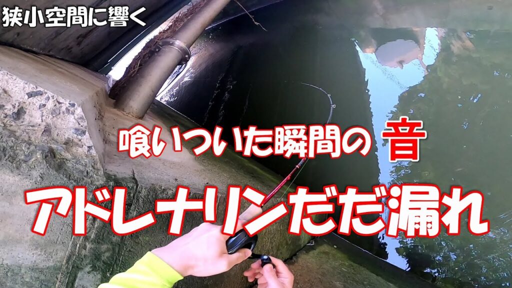 一度聞くと釣り初心者でも釣り沼にはまる音!!