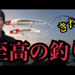 冬の遠州灘サーフで至高のルアー釣り🔥