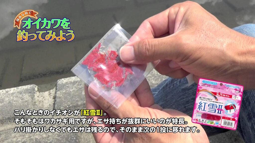 身近な川でオイカワを釣ってみよう！