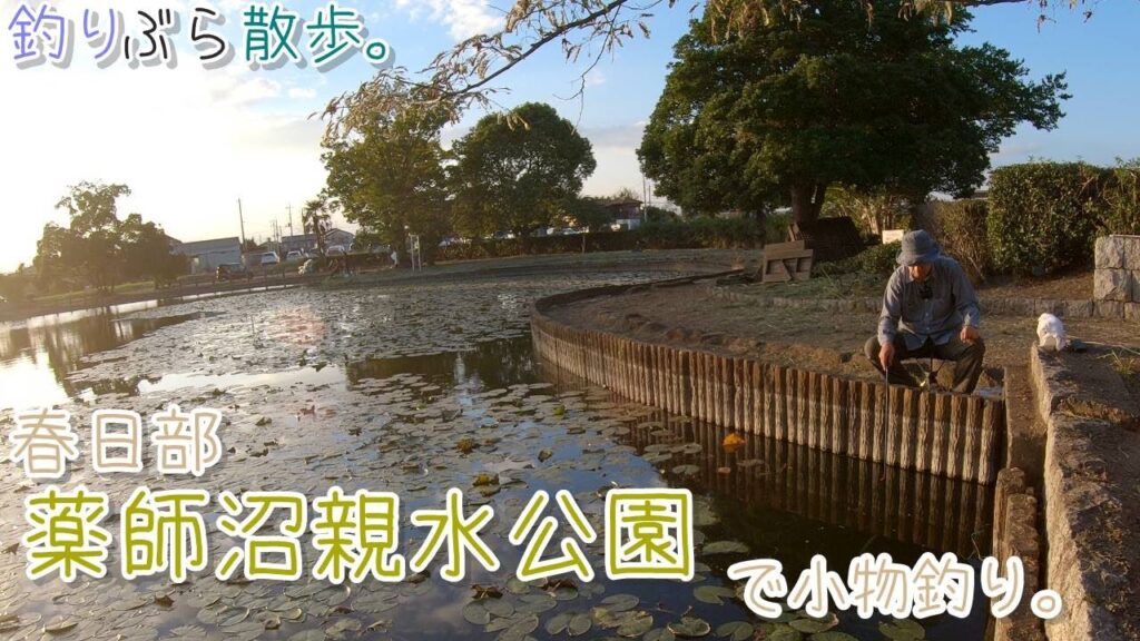 【小物釣り】秋晴れの埼玉県 春日部市の薬師沼親水公園で小物釣り。【淡水】