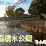 【小物釣り】秋晴れの埼玉県 春日部市の薬師沼親水公園で小物釣り。【淡水】