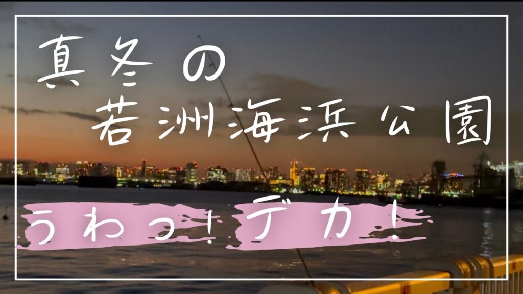 【若洲海浜公園】釣り人が居ない、真冬はこの魚が入れ食いになるかも♪激渋でも釣れる♪