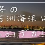 【若洲海浜公園】釣り人が居ない、真冬はこの魚が入れ食いになるかも♪激渋でも釣れる♪