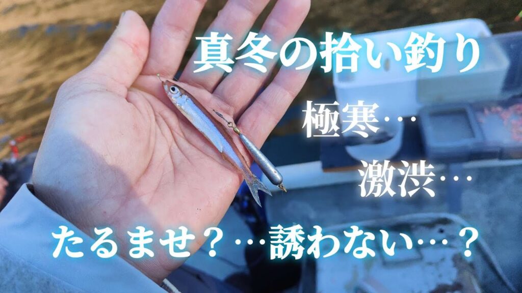 【ワカサギ釣り】極寒の精進湖で拾い釣り【精進湖】【釣り✕オートキャンピングカー】