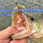 真冬でもパターンが見つけられれば連発する管理釣り場 〜潮来市・富士見池〜