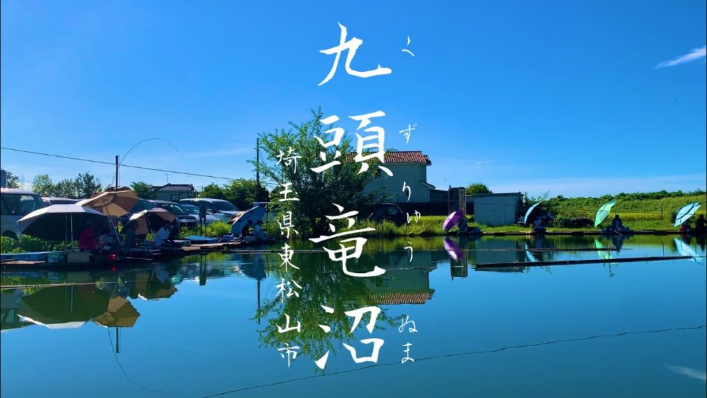 様々なご利益がある九頭龍大神 九頭竜沼でへらぶな釣り