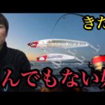 冬の遠州灘サーフで釣りしたら、とんでもない奴が…
