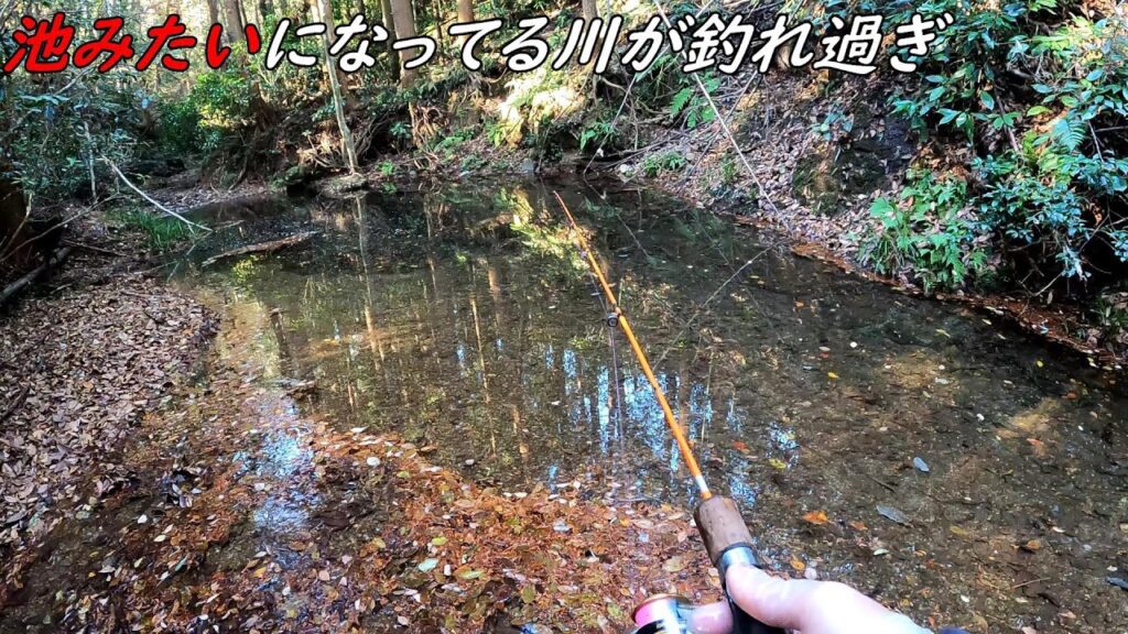 池みたいな場所で釣りしたらヤバかった