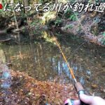 池みたいな場所で釣りしたらヤバかった