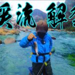渓流解禁日にヤマメを釣りに行ったら...！！