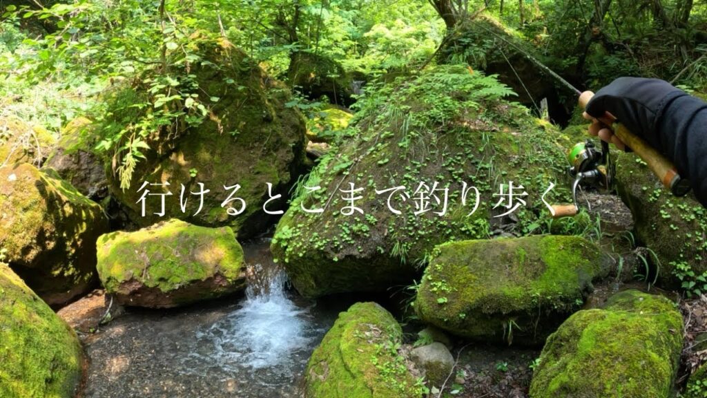【渓流ルアー】気になっていた沢を釣りあがる。