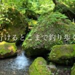 【渓流ルアー】気になっていた沢を釣りあがる。