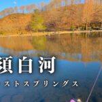 果たして魚のサイズは上がったのか。年末の那須白河フォレストスプリングスで出るか良型トラウト【エリアトラウト】【管理釣り場】【ニジマス】