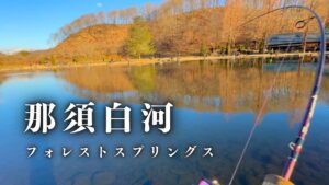 果たして魚のサイズは上がったのか。年末の那須白河フォレストスプリングスで出るか良型トラウト【エリアトラウト】【管理釣り場】【ニジマス】