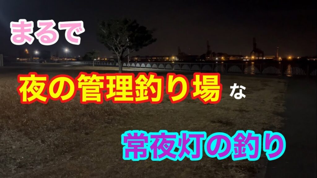 まるで夜の管理釣り場な常夜灯の釣り 知多半島