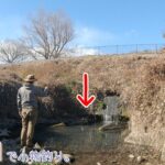 冬でも爆釣するポイントは楽しすぎー！   あきる野市 秋川で小物釣り。