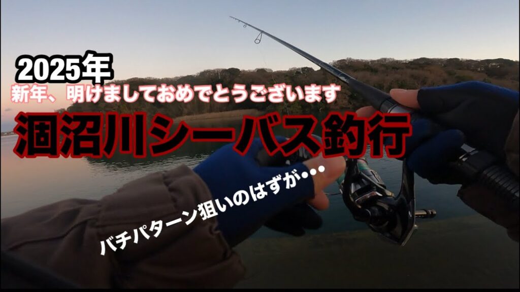 涸沼川シーバス釣行　　元日にバチパターン狙いで行ってきました。