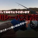 涸沼川シーバス釣行　　元日にバチパターン狙いで行ってきました。