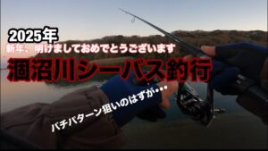 涸沼川シーバス釣行 元日にバチパターン狙いで行ってきました。
