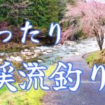 渓流釣り　初心者さんの素朴な疑問？のいろいろを解説【餌釣り】