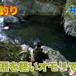 井上聡 渓流釣り 深い淵を軽いオモリで流す