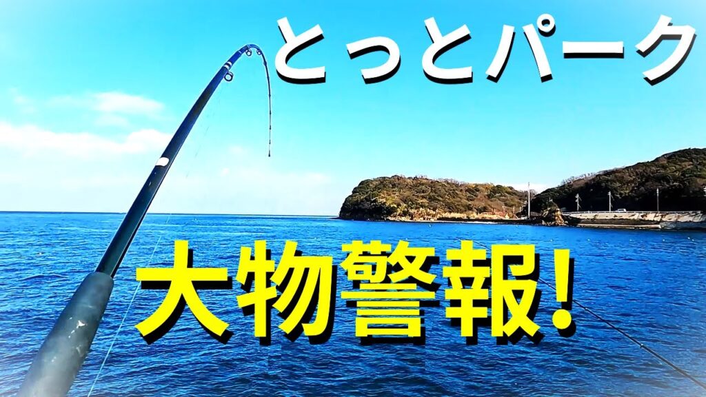 大物連発？海釣り公園でノマセ釣りがすごい事に！！