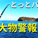 大物連発？海釣り公園でノマセ釣りがすごい事に！！