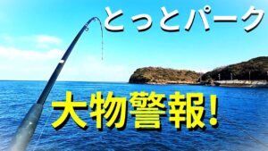 大物連発？海釣り公園でノマセ釣りがすごい事に！！