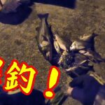 【爆釣！】釣り/海釣り/碧南海釣り公園/碧南釣り広場/温排水/衣浦湾/クロダイ/チヌ/キビレ/セイゴ/マダカ/シーバス/