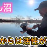 びん沼へらぶな釣り！久しぶりの高設定！ウキがよく動く！多分宙釣りのが釣れる
