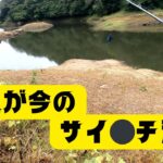 【宮城県釣り】これが今のサイ⚪︎チ沼だ！！