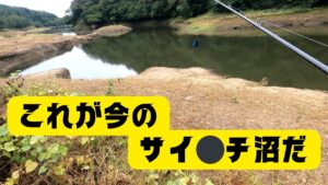 【宮城県釣り】これが今のサイ⚪︎チ沼だ!!