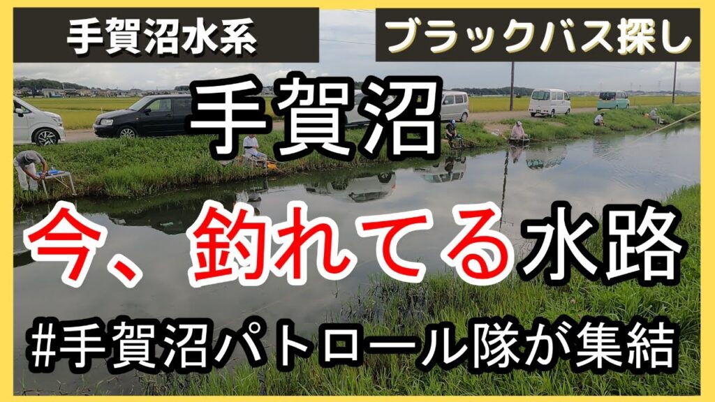 【手賀沼バス釣り】手賀沼で一番釣れてる水路に、視聴者さんが集結した日