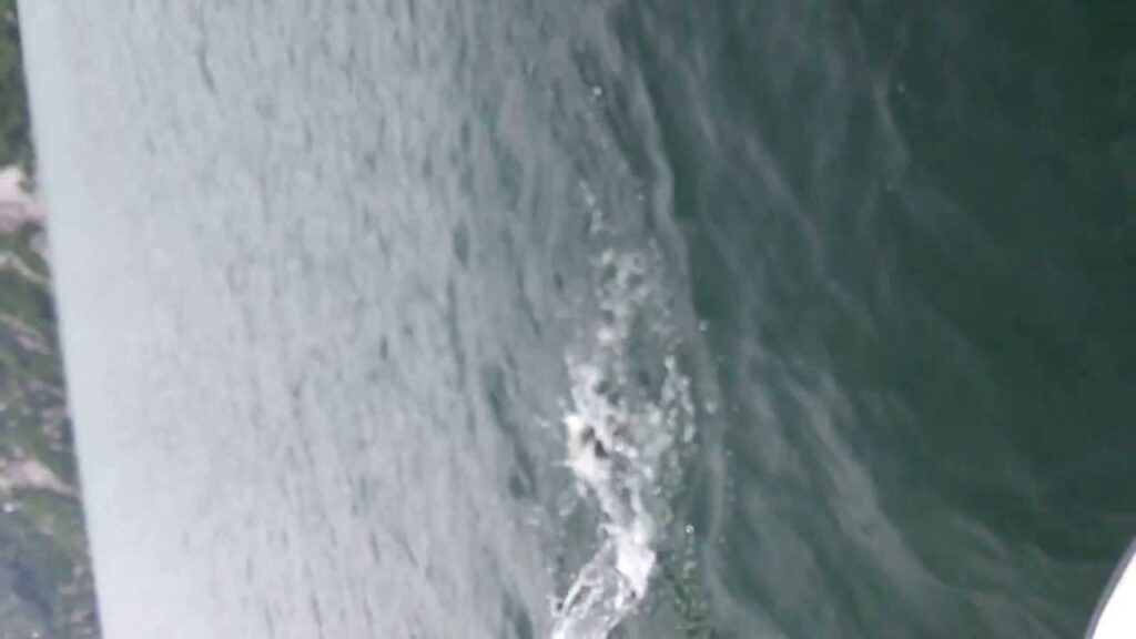 銀山湖　釣り宿「湖山荘」がちょいと釣りをしたら綺麗なサクラマスが釣れたとさ。