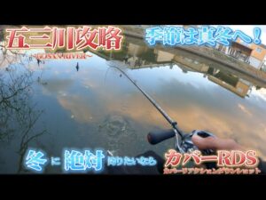 【バス釣り】五三川攻略！冬に絶対釣るならコレ！カバーリアクションダウンショットが熱い！！