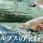 【渓流釣り】名水百選の最深部／甲斐駒ヶ岳麓の源流イワナを毛バリとルアーでねらう
