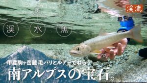 【渓流釣り】名水百選の最深部／甲斐駒ヶ岳麓の源流イワナを毛バリとルアーでねらう