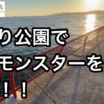 【神戸平磯海づり公園】タンコブ&カゴ釣り！