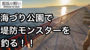 【神戸平磯海づり公園】タンコブ&カゴ釣り！