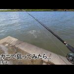 最新夏休み必見！！浜名湖チヌスポット【浜名湖釣り】🎣釣れます🐟