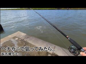 最新夏休み必見！！浜名湖チヌスポット【浜名湖釣り】🎣釣れます🐟